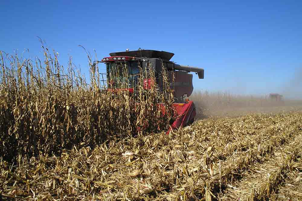 Fall Harvesting at Maryland Farm Warfield Brothers Farm