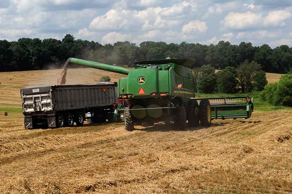 Maryland summer farming services - Beef Cattle, Brush Hogging, Feed Grains, Forages